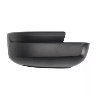 Revêtement, rétroviseur extérieur BLIC 6103-01-1999313P