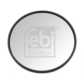 Antéviseur, cabine du conducteur FEBI BILSTEIN 185873