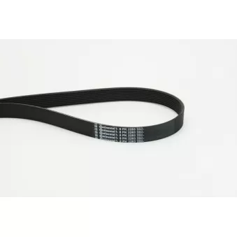Courroie trapézoïdale à nervures CONTITECH