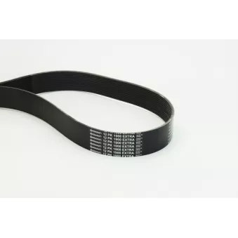 Courroie trapézoïdale à nervures CONTITECH