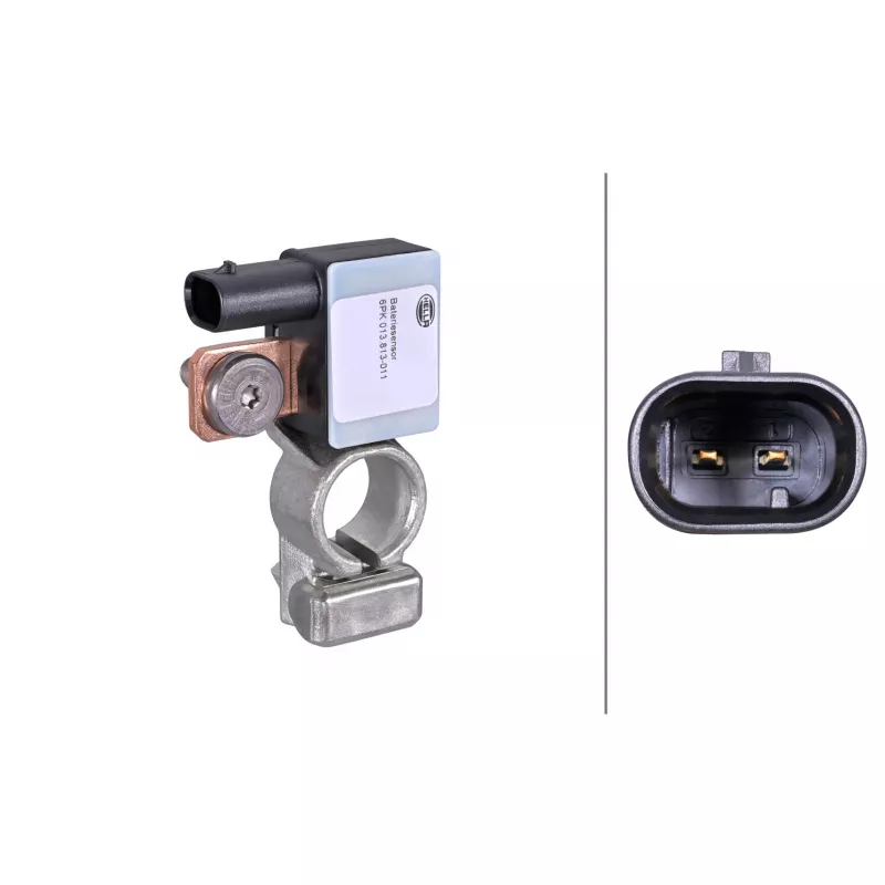 Capteur, Gestion des batteries HELLA 6PK 013 813-011