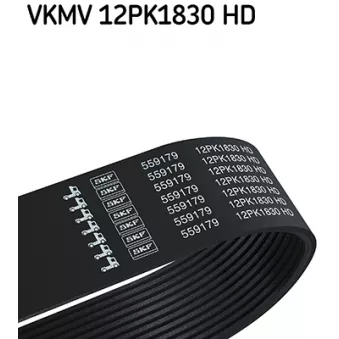 Courroie trapézoïdale à nervures SKF