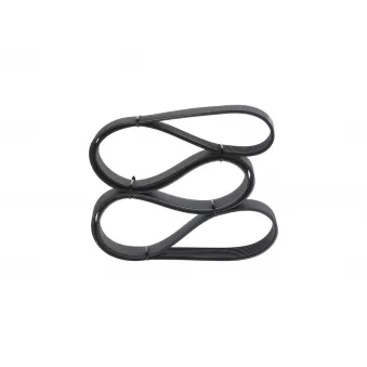 Courroie trapézoïdale à nervures BOSCH 1 987 947 061