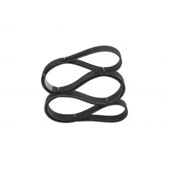 Courroie trapézoïdale à nervures BOSCH 1 987 947 081