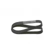 Courroie trapézoïdale à nervures BOSCH 1 987 947 081 - Visuel 2