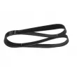 Courroie trapézoïdale à nervures BOSCH 1 987 945 511 - Visuel 1