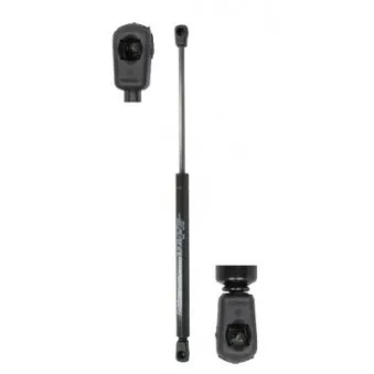 Vérin de hayon, de coffre MAGNUM TECHNOLOGY