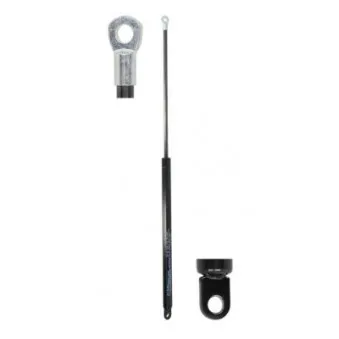 Vérin de hayon, de coffre MAGNUM TECHNOLOGY