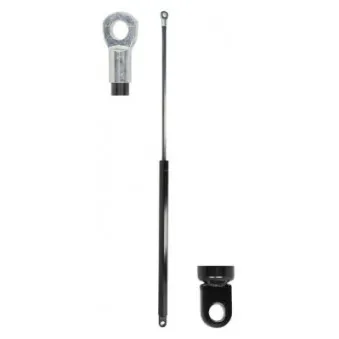 Vérin de hayon, de coffre MAGNUM TECHNOLOGY