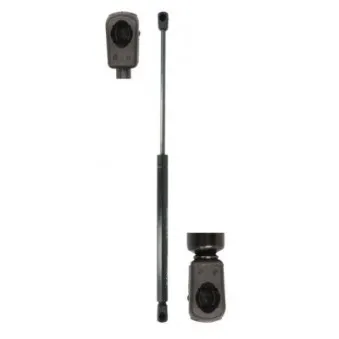 Vérin de hayon, de coffre MAGNUM TECHNOLOGY