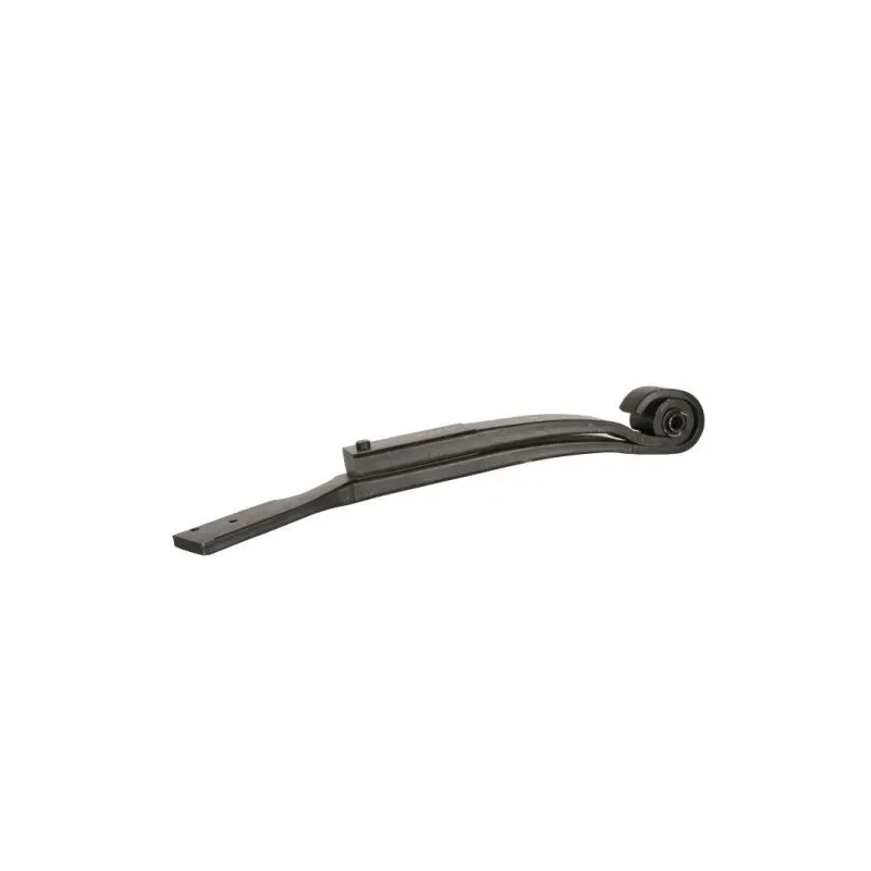 Groupe de ressorts arrière gauche  MAGNUM TECHNOLOGY MLS-90189000MT