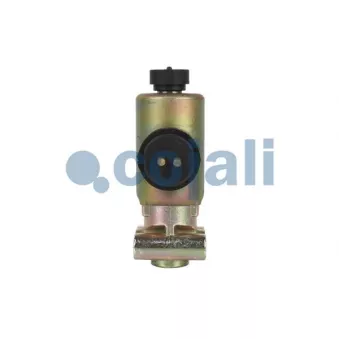 Valve magnétique COJALI 2218205