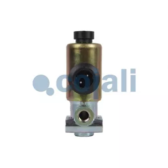 Valve magnétique COJALI 2218215
