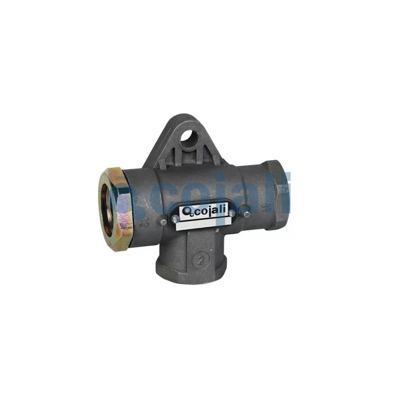Valve à plusieurs voies COJALI 2207103