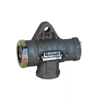 Valve à plusieurs voies COJALI