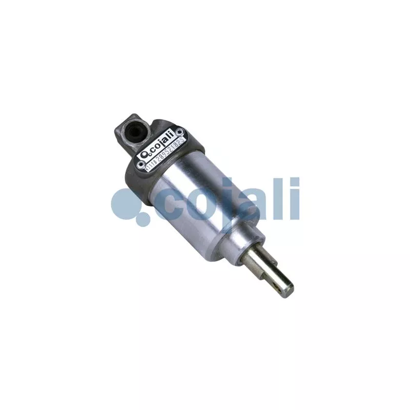 Vérin COJALI 2201100