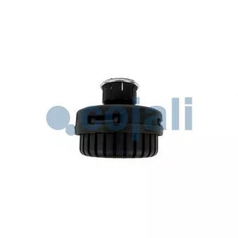 Amortisseur de bruit, système d'air comprimé COJALI 2203109