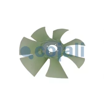 Roue du souffleur, refroidissement du moteur COJALI 7027132
