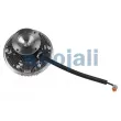 Embrayage, ventilateur de radiateur COJALI 7073419 - Visuel 3