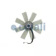 Ventilateur, refroidissement du moteur COJALI 7075402 - Visuel 3