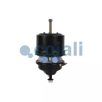 Cylindre de frein à ressort COJALI 2251510