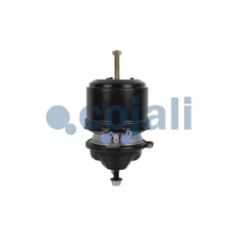 Cylindre de frein à ressort COJALI 2251536