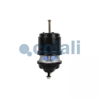 Cylindre de frein à ressort COJALI 2251537