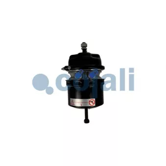 Cylindre de frein à ressort COJALI 2251563