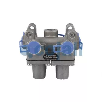 Valve de sécurité pour plusieurs circuits COJALI