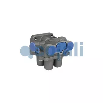 Valve de sécurité pour plusieurs circuits COJALI