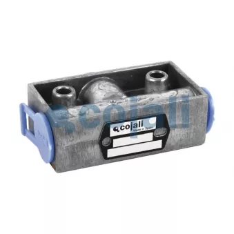 Valve à plusieurs voies COJALI 2280102