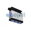 Bloc électrovannes, suspension pneumatique COJALI 2309100 - Visuel 2