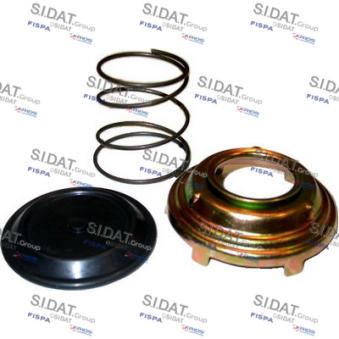 Système d'injection FISPA 81.258