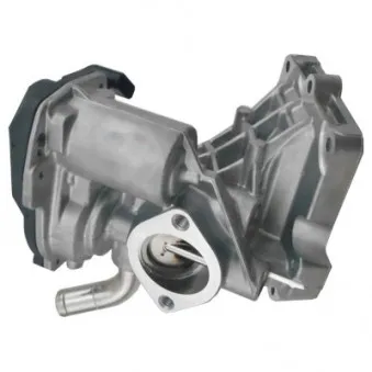 Vanne EGR MEAT & DORIA