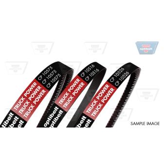 Courroie trapézoïdale OPTIBELT CP10539
