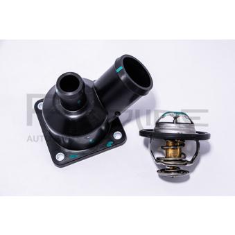 Thermostat d'eau RED-LINE 55MH001