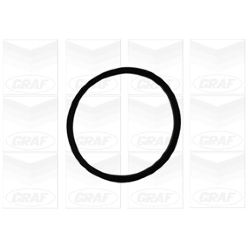 Pompe à eau GRAF PA1060 - Visuel 1