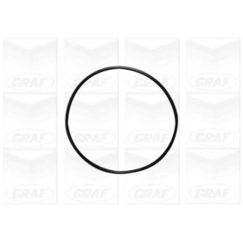 Pompe à eau GRAF PA1114 - Visuel 1