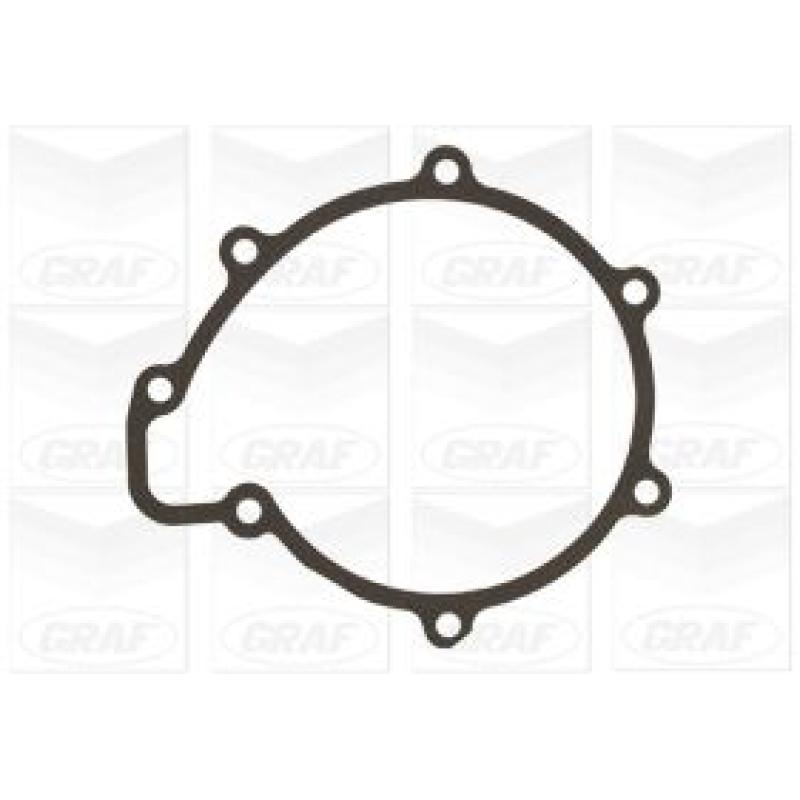 Pompe à eau GRAF PA1323 - Visuel 1