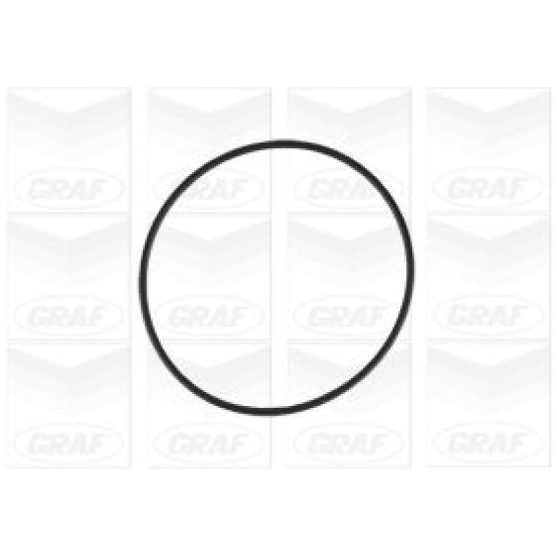 Pompe à eau GRAF PA1199 - Visuel 1