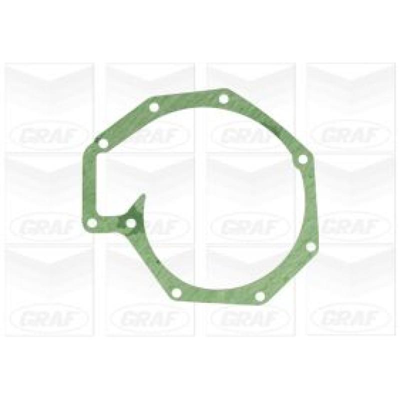 Pompe à eau GRAF PA1317 - Visuel 1