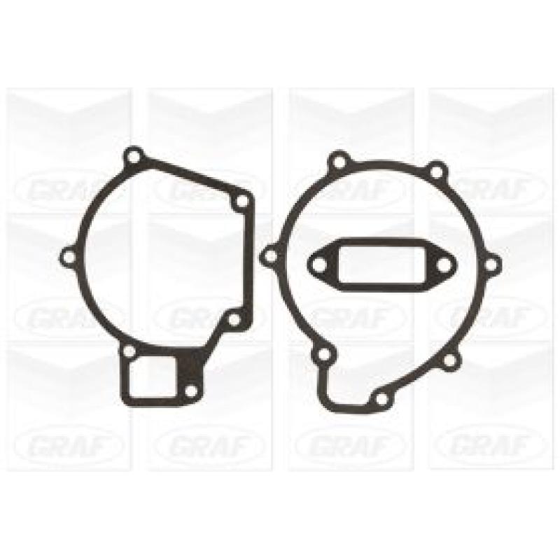 Pompe à eau GRAF PA1308 - Visuel 1