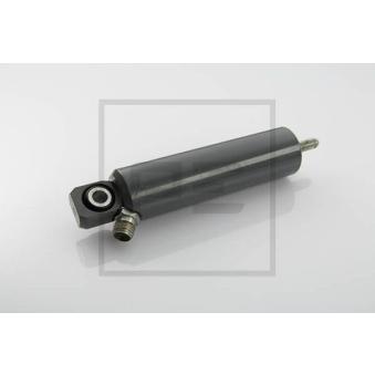 Vérin PE Automotive 076.841-10A