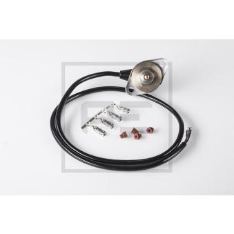 Capteur, pression de carburant PE Automotive 080.123-00A