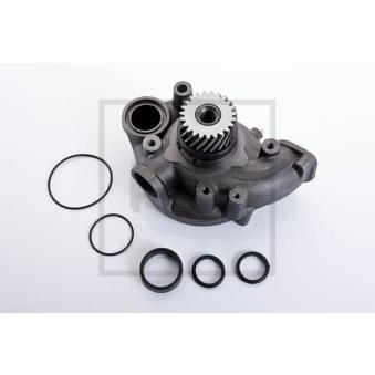 Pompe à eau PE Automotive 140.202-00A