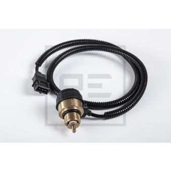 Valve de purge PE Automotive 016.781-00A