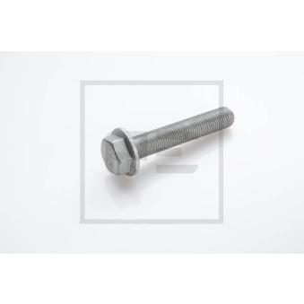 Vis, disque de frein PE Automotive 016.642-00A