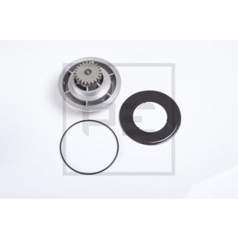 Pompe à eau PE Automotive 250.032-00A