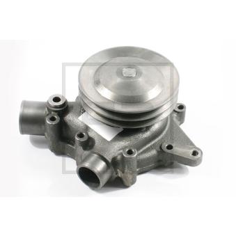 Pompe à eau PE Automotive 250.039-00A