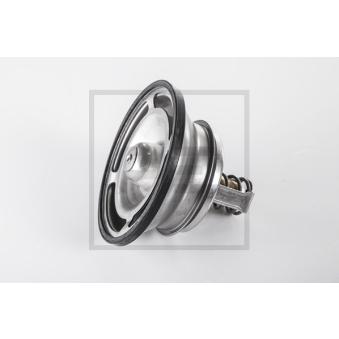Thermostat, liquide de refroidissement PE Automotive 259.020-00A